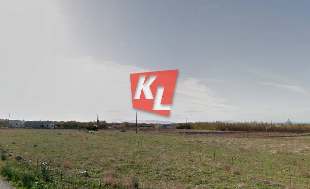 8000 m² Parcel