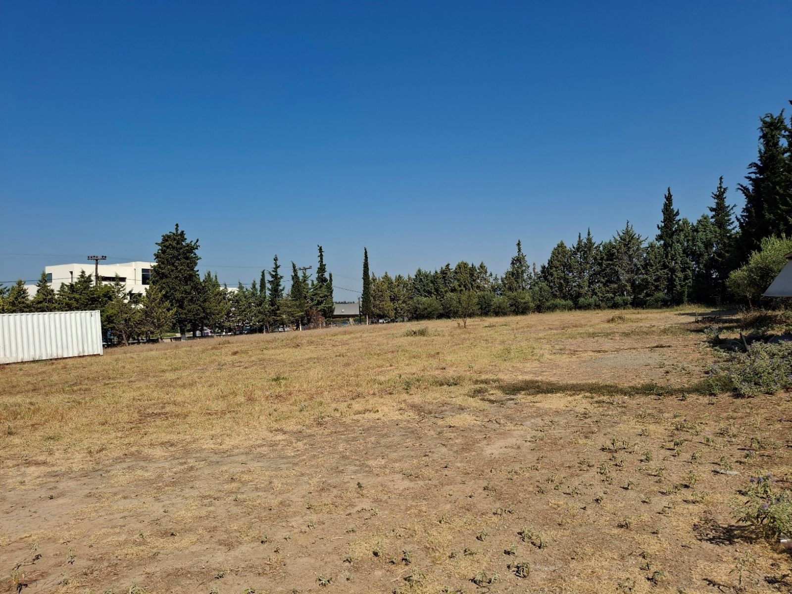 7765 m² Parcel