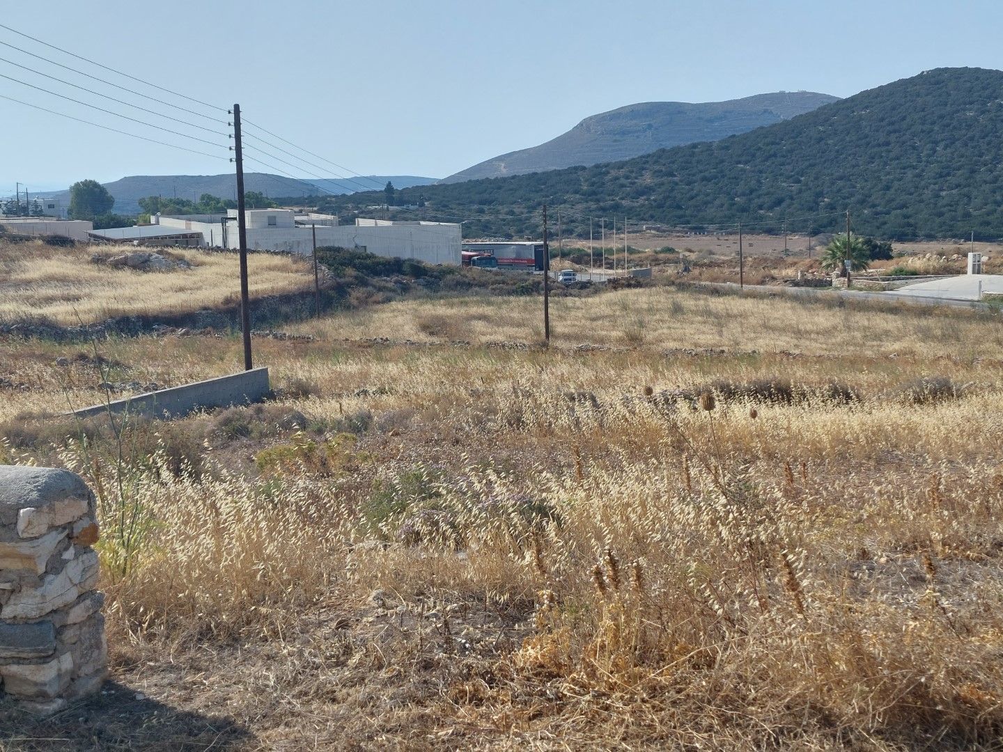 1000 m² Plot