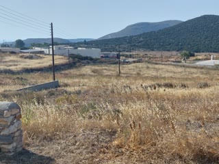 1000 m² Plot