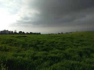 10000 m² Parcel