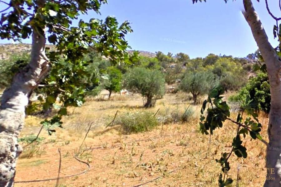 Οικόπεδο 1370τ.μ.