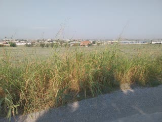 15772 m² Parcel