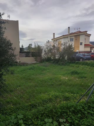 Участок 236 м²