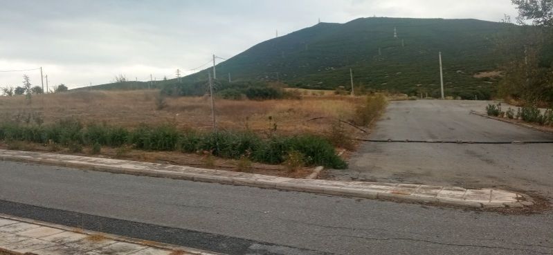 404 m² Plot