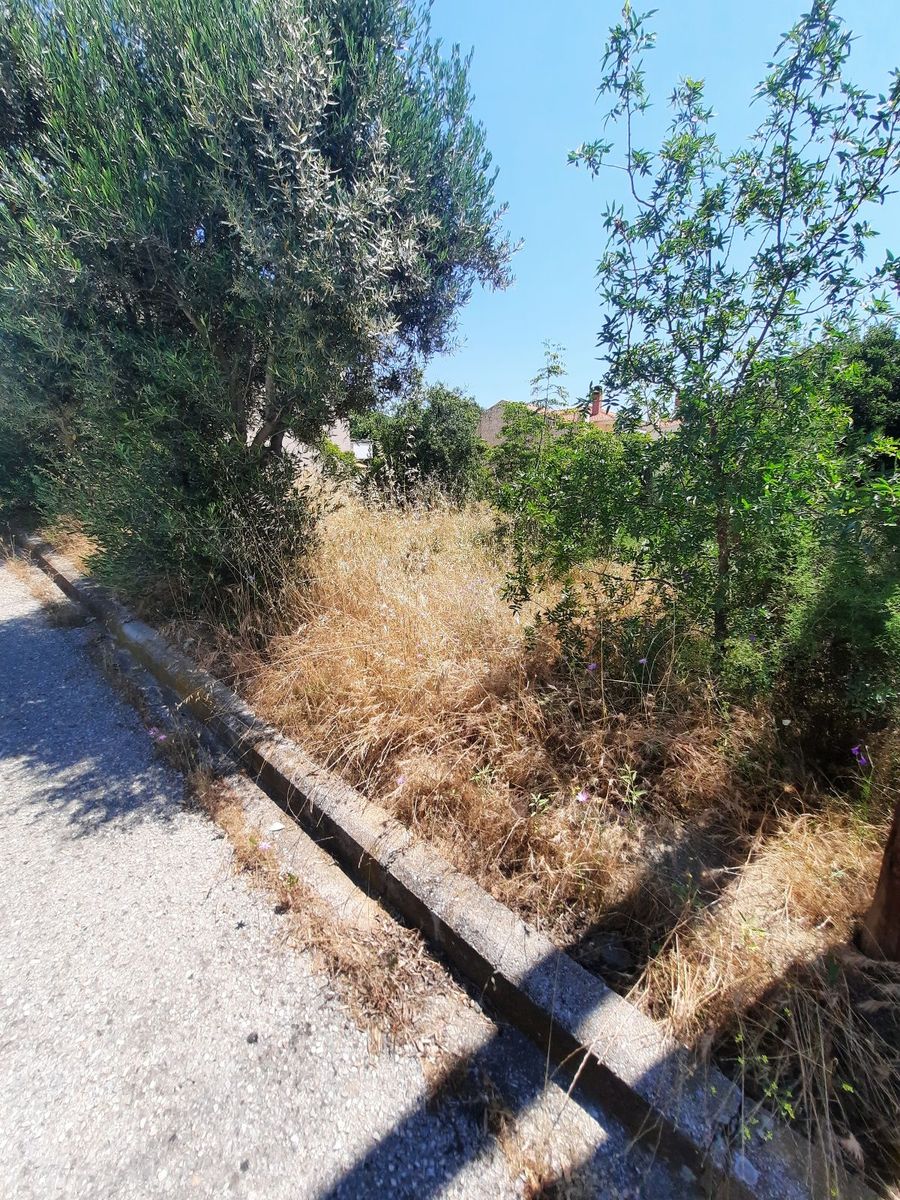 450 m² Plot