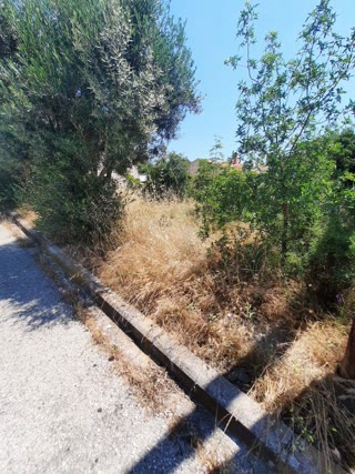 450 m² Plot