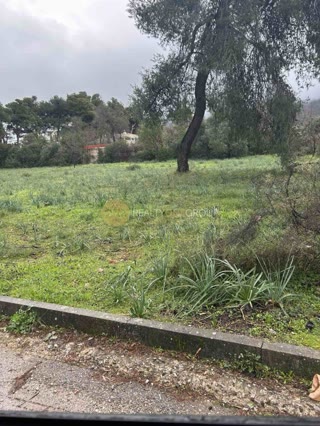 2400 m² Plot