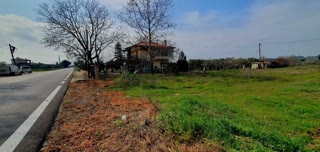5000 m² Parcel