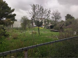 Участок 850 м²