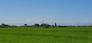 6000 m² Parcel