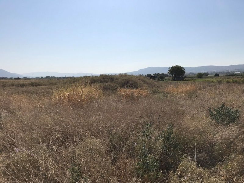 Αγροτεμάχιο 4200 τ.μ.