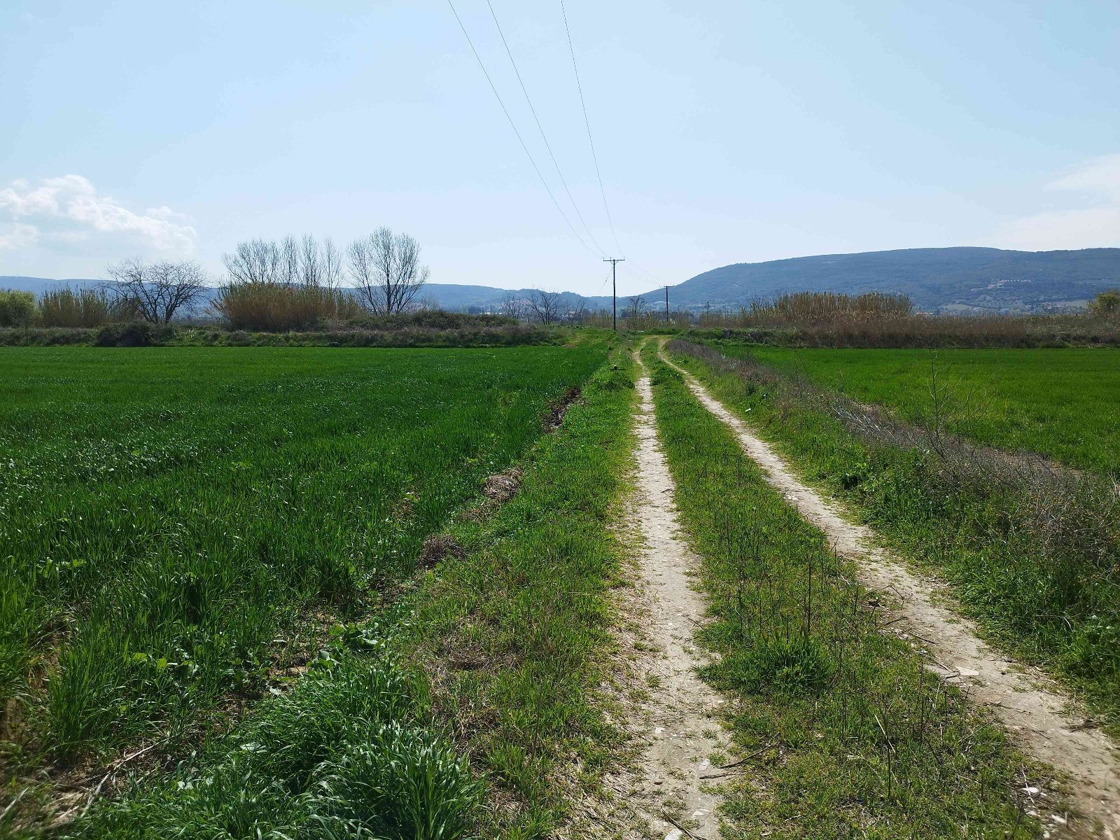 9000 m² Parcel