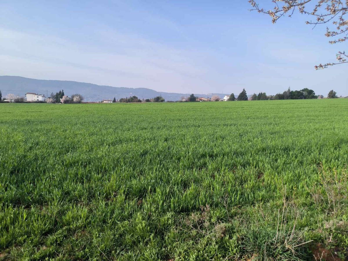 24000 m² Parcel