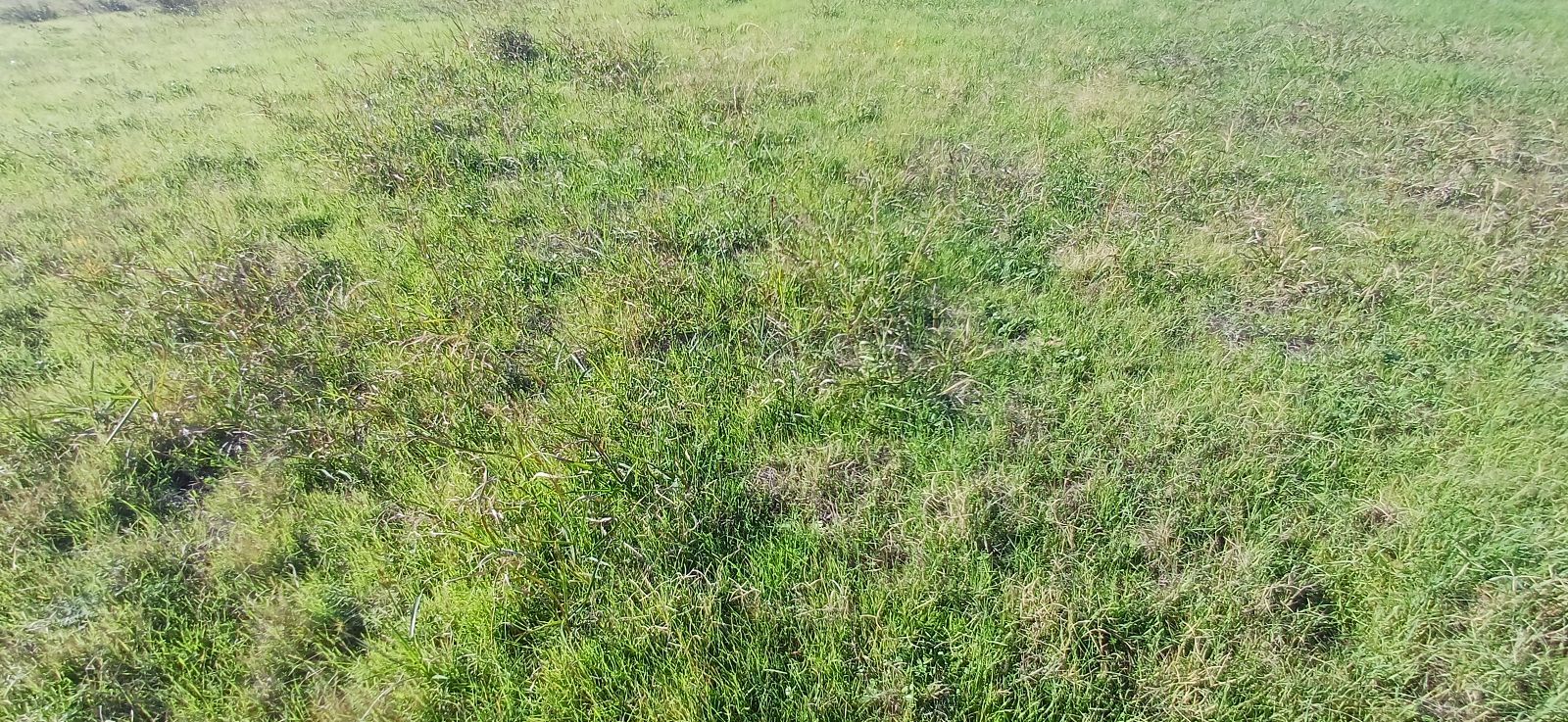 2450 m² Parcel