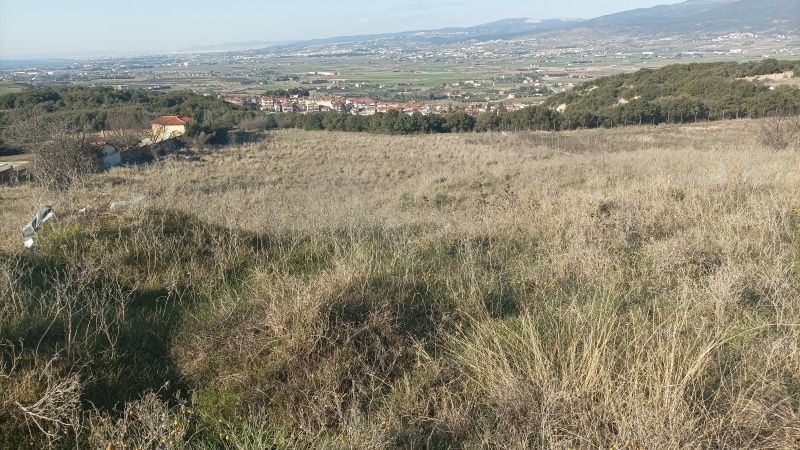 6000 m² Parcel