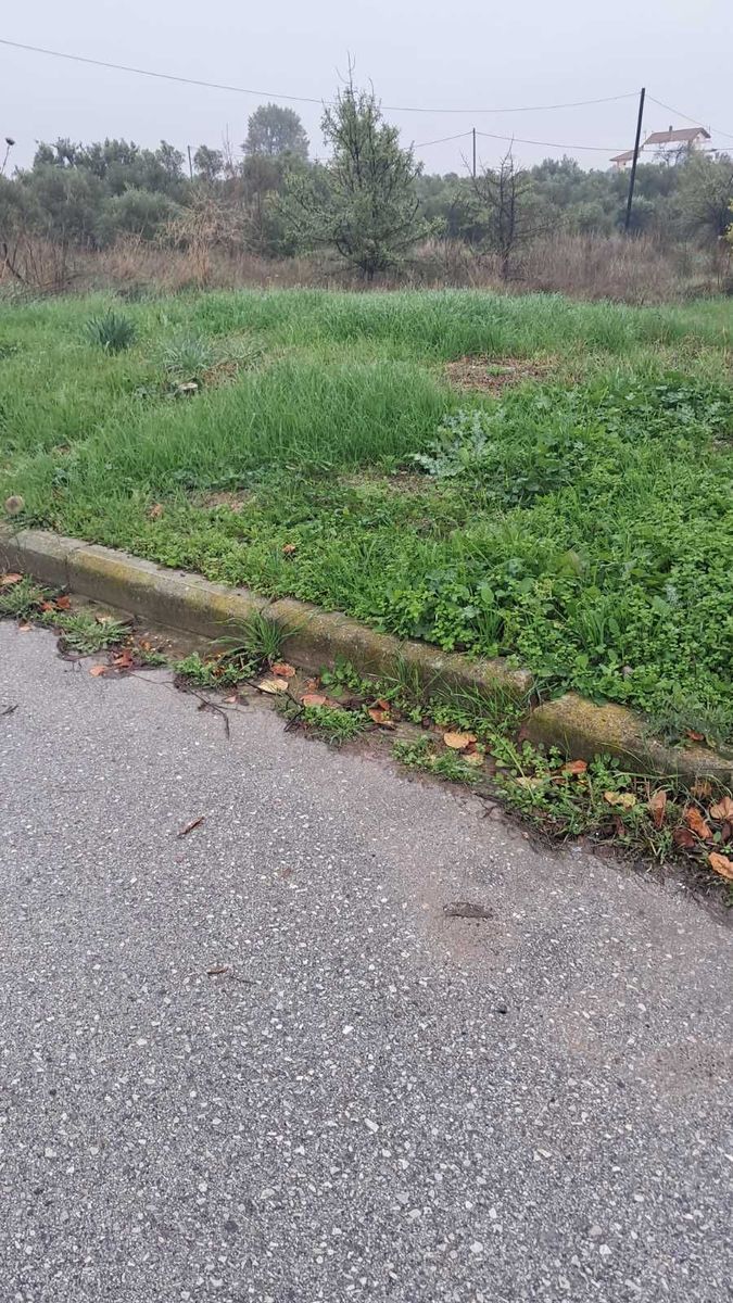 100 m² Plot