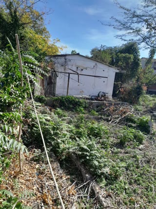 455 m² Plot