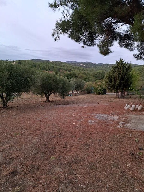 4750 m² Parcel
