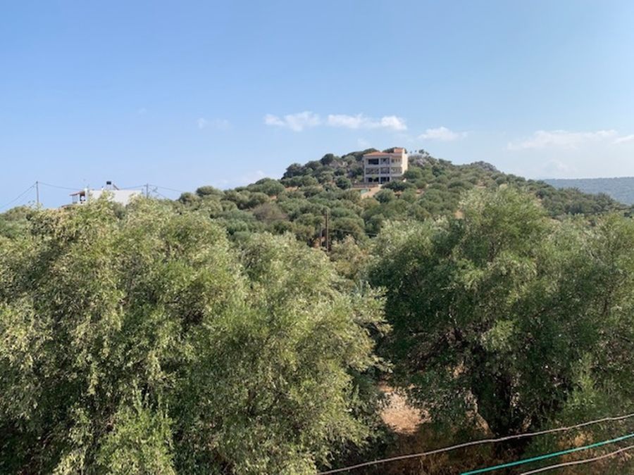 Μονοκατοικία 164τ.μ.