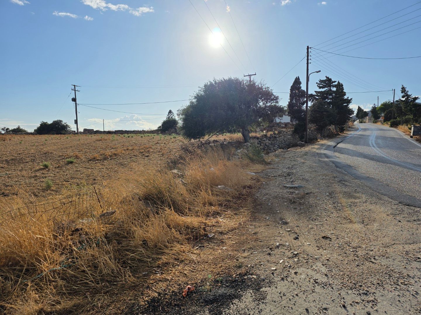 1409 m² Plot