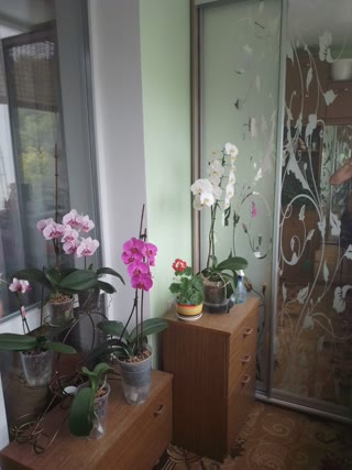 Продам 2к квартиру Холодна Гора