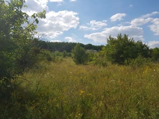 Land plot