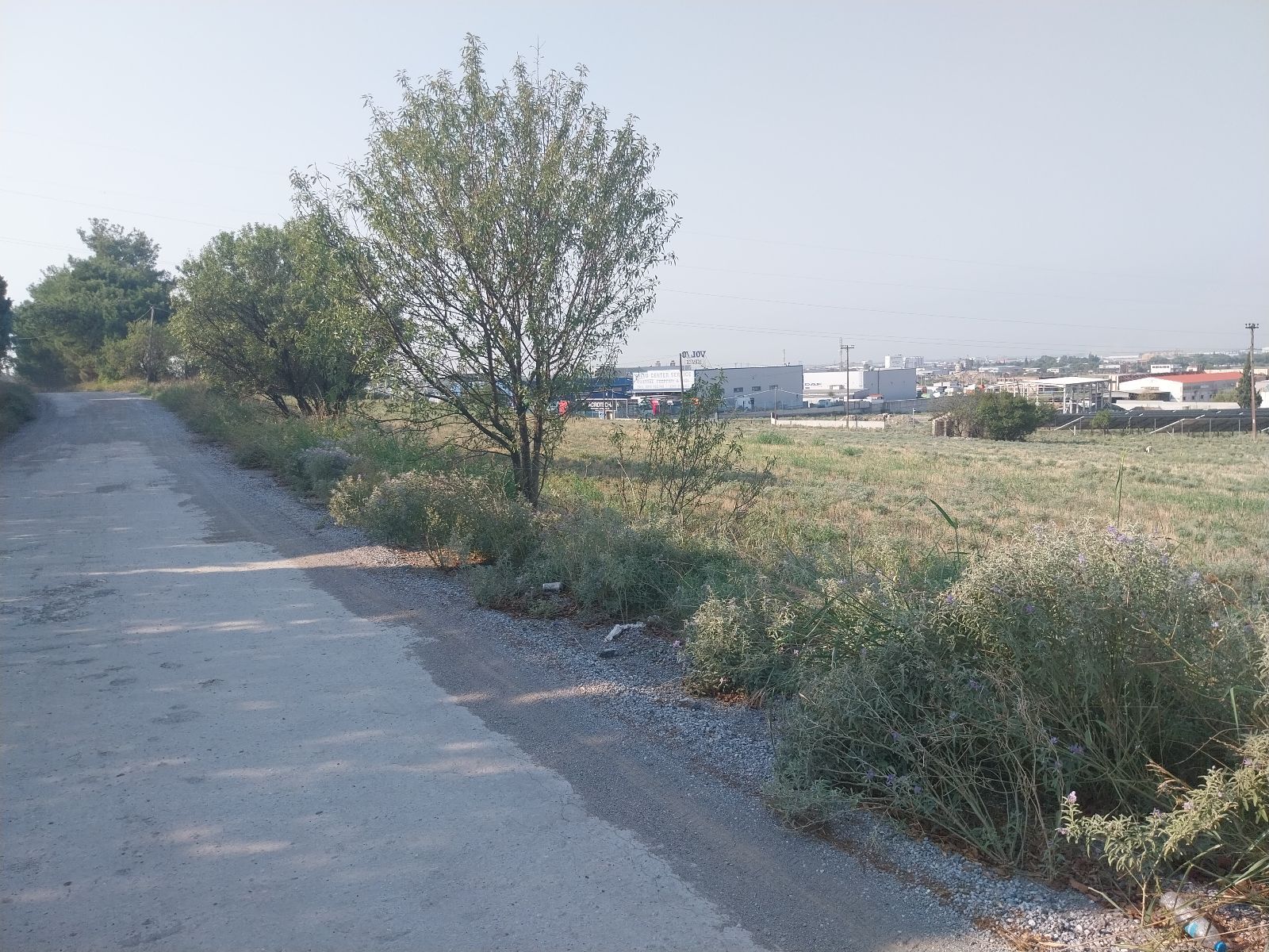 Αγροτεμάχιο 15772τ.μ.