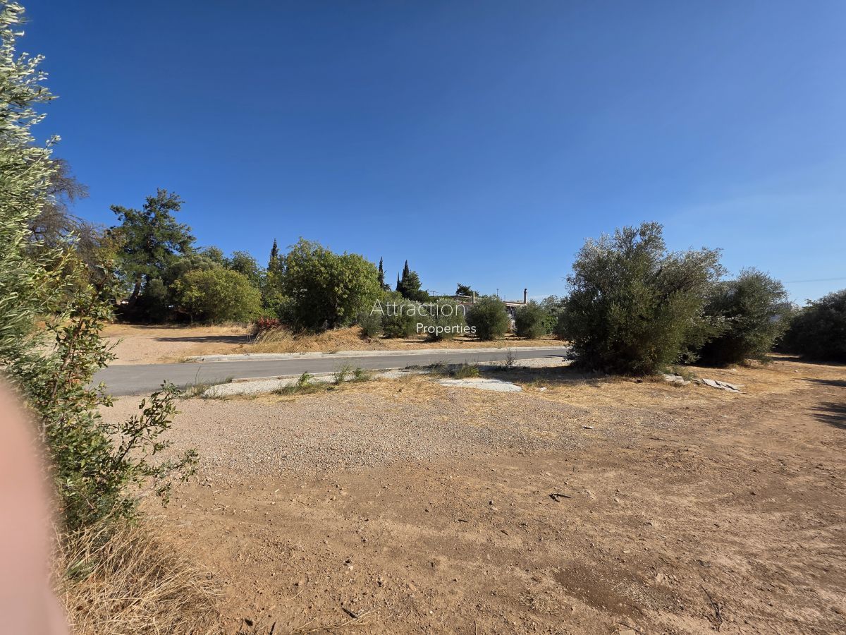 3003 m² Plot