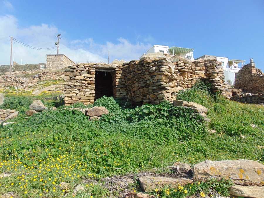 6300 m² Parcel