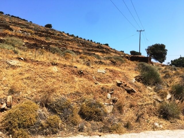 7000 m² Parcel