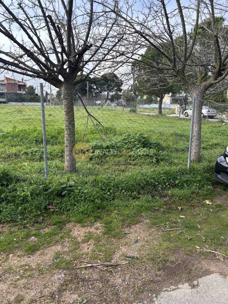 Οικόπεδο 1100τ.μ.