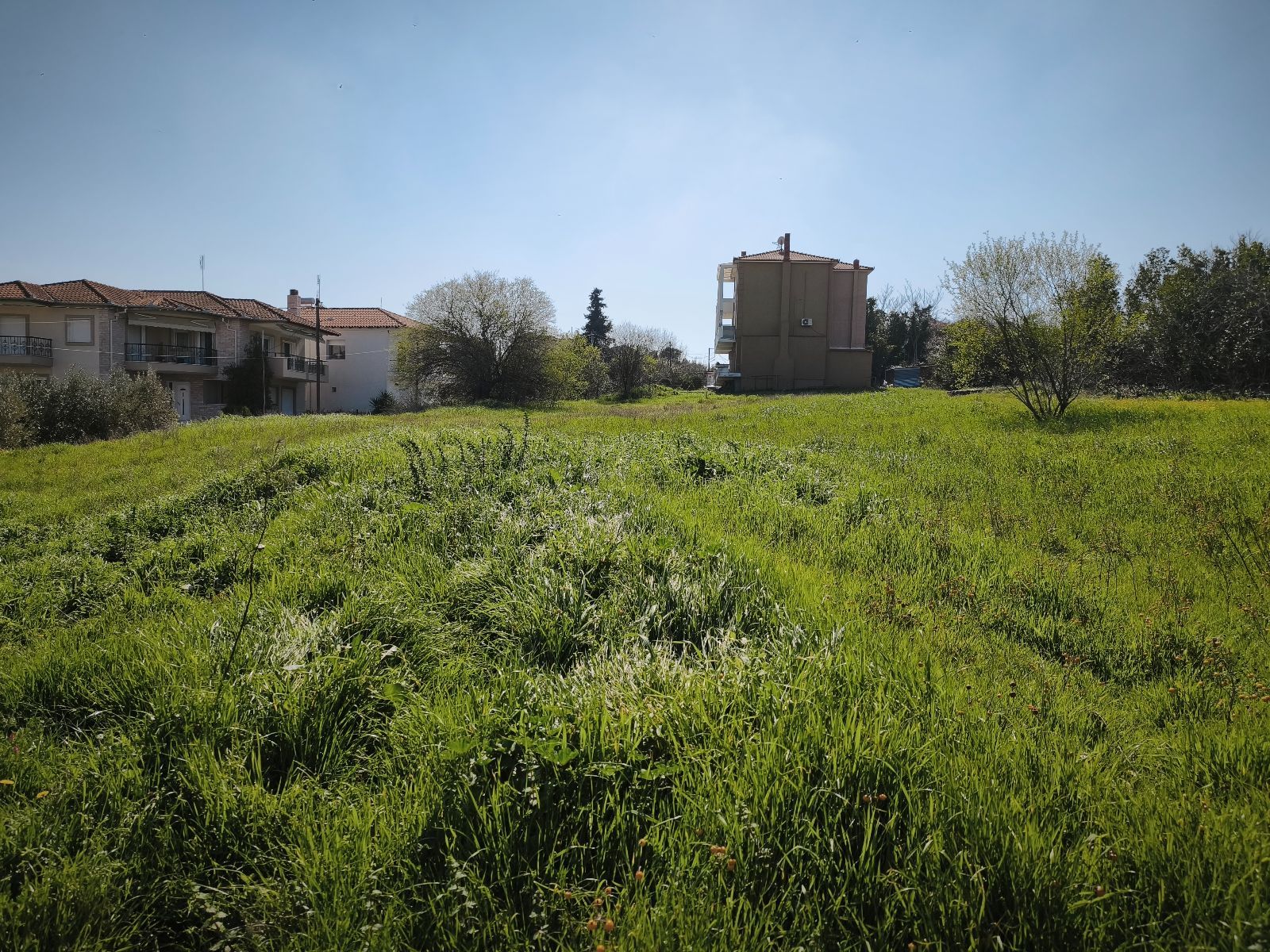 1500 m² Plot
