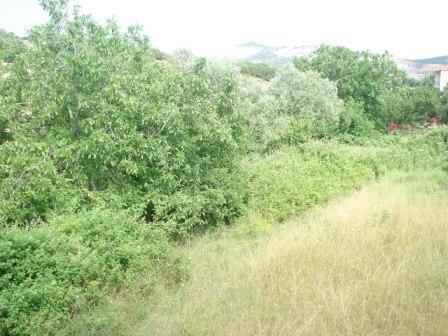 560 m² Plot