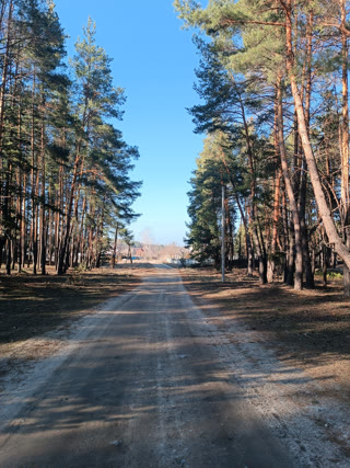 СРОЧНО!!! Продам участок Ольховатка