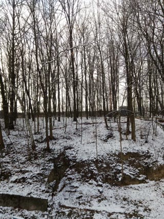 Dacha near Kyiv/Teremky/Hatne