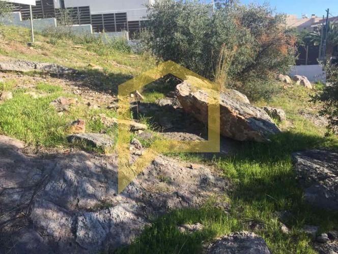 354 m² Plot