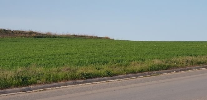 Участок 10000 м²
