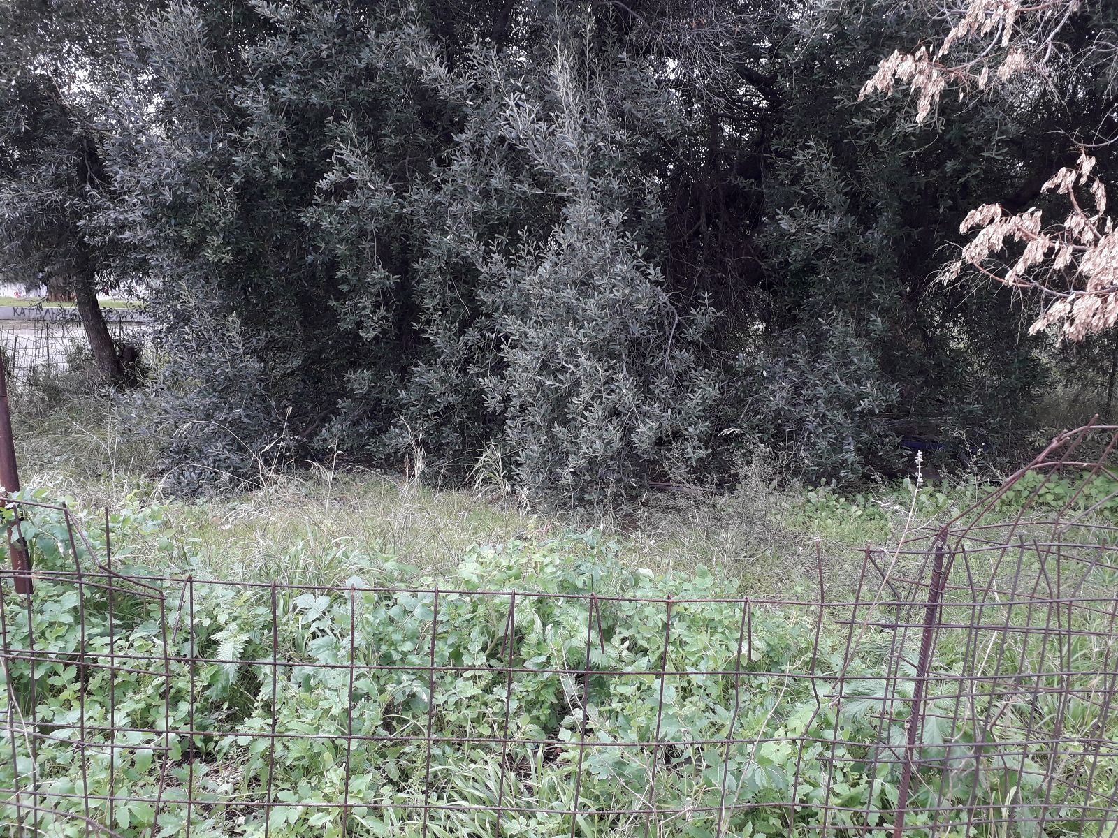 465 m² Plot
