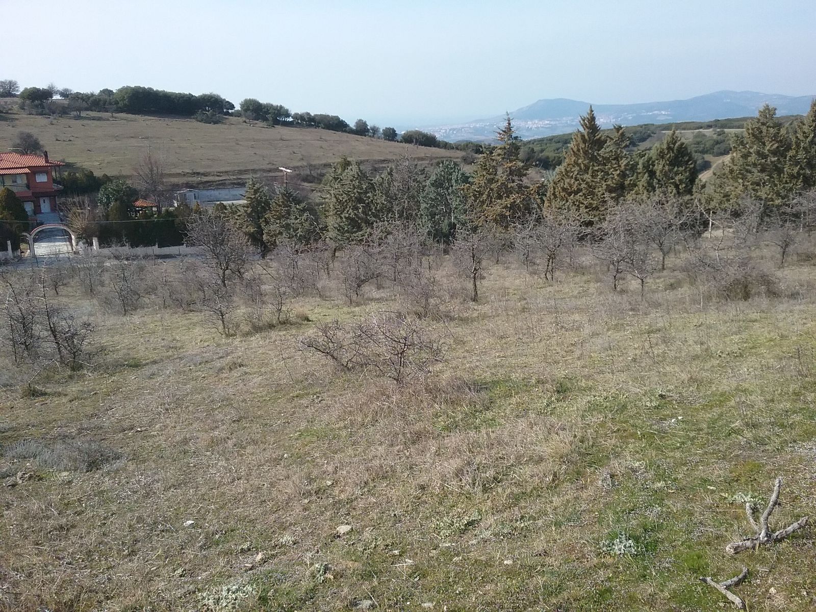 Участок 4167 м²