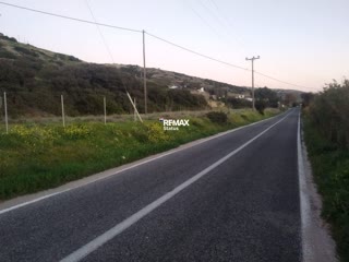 2420 m² Parcel
