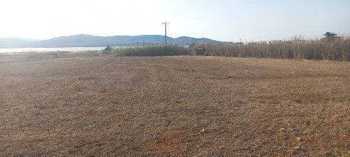 Αγροτεμάχιο 5000τ.μ.