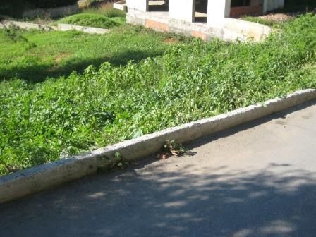 750 m² Plot