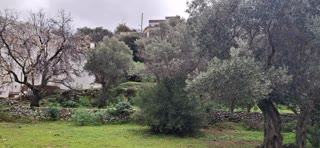 442 m² Plot