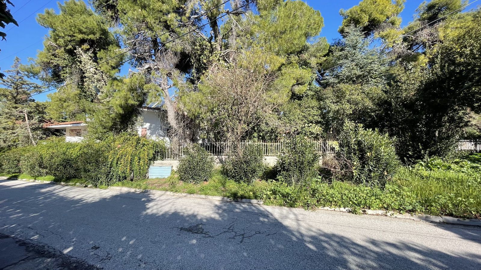 1600 m² Plot