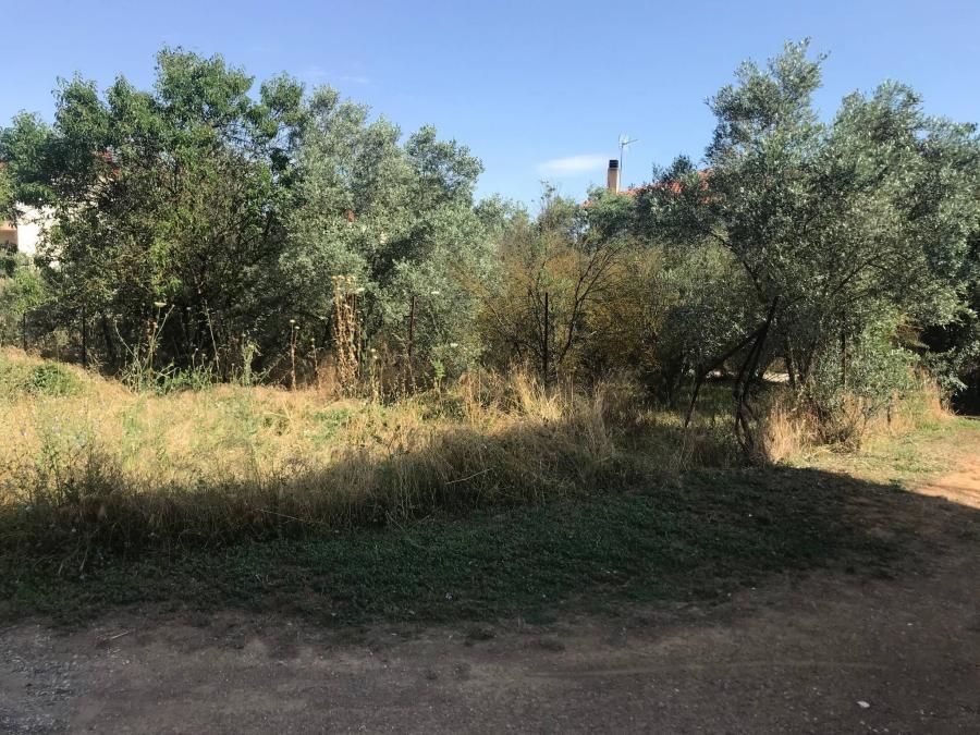 548 m² Plot