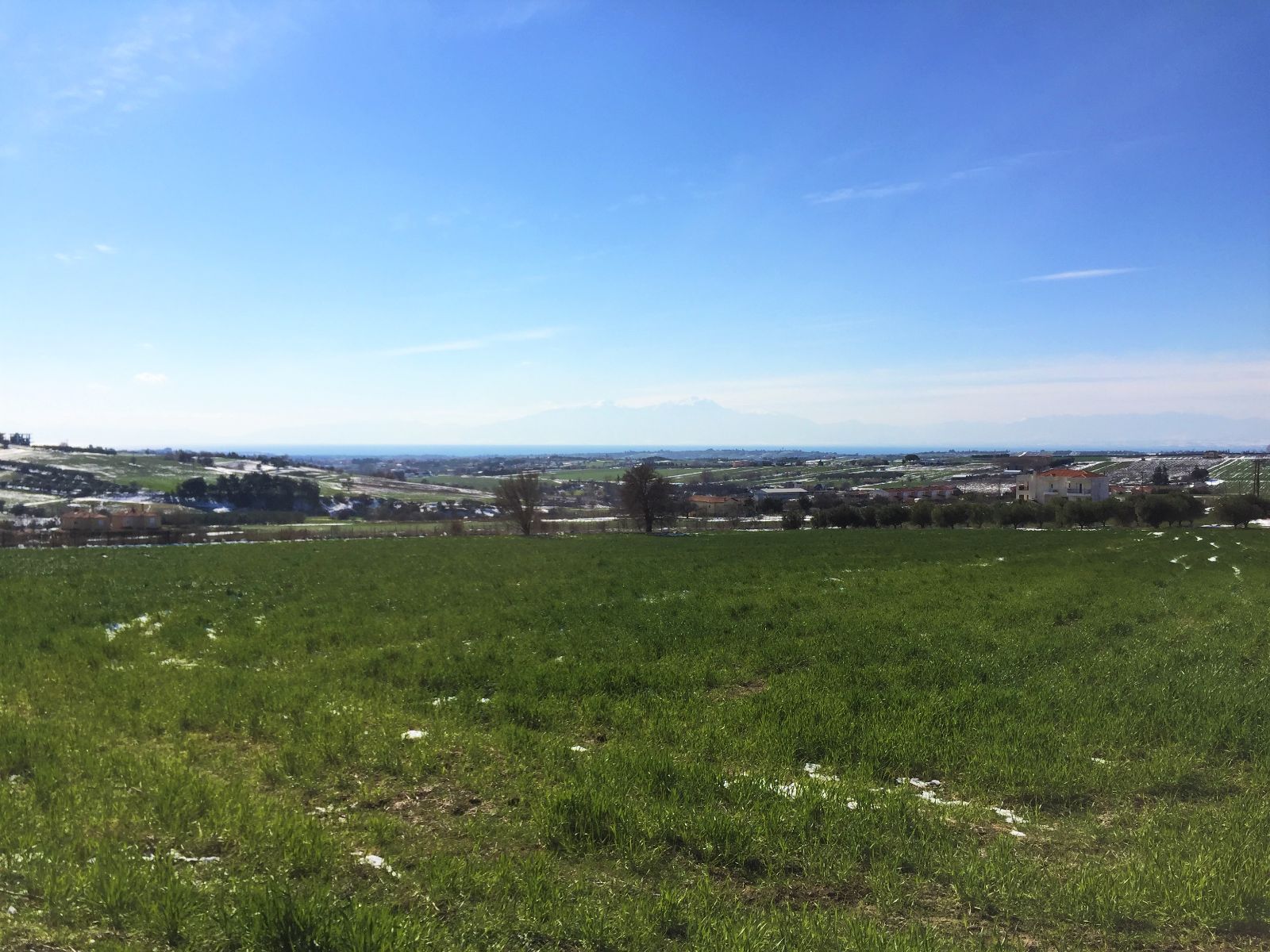 6500 m² Parcel