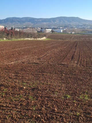 7050 m² Plot