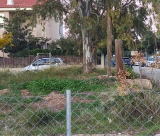 2950 m² Plot