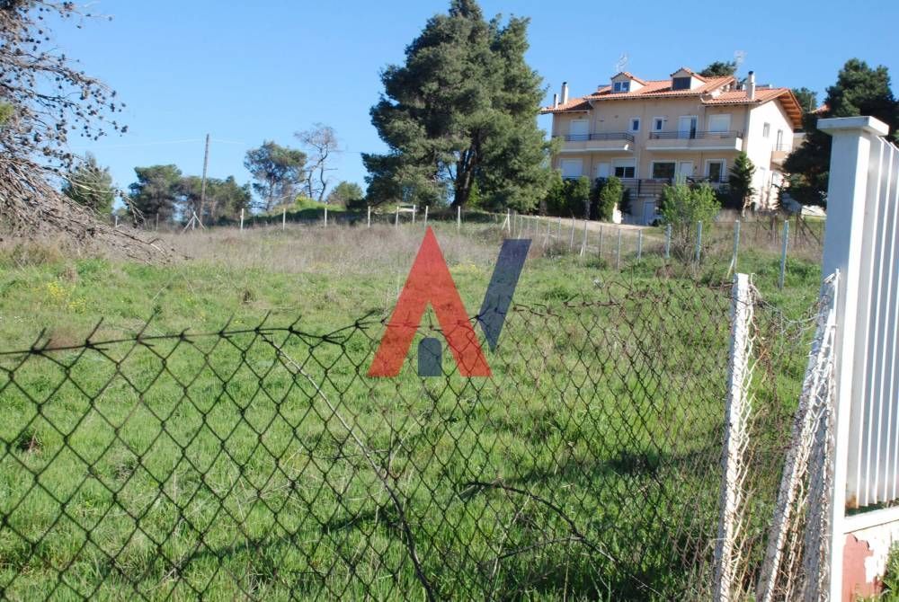 Οικόπεδο 1668 τ.μ.